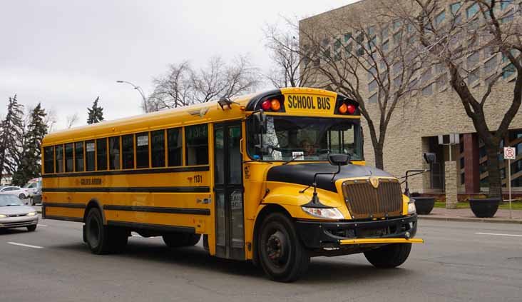 Golden Arrow International 1131